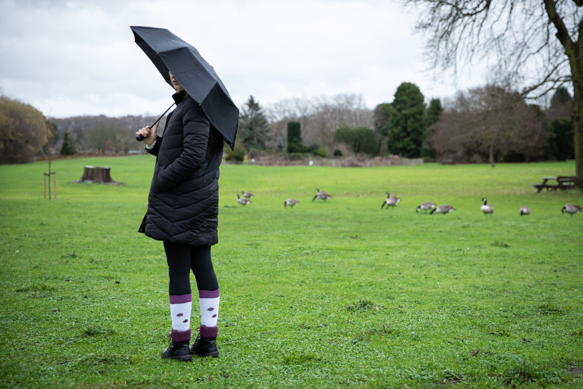 Fitlegs Life compression socks - posies pattern - white and purple knee high - lifestyle