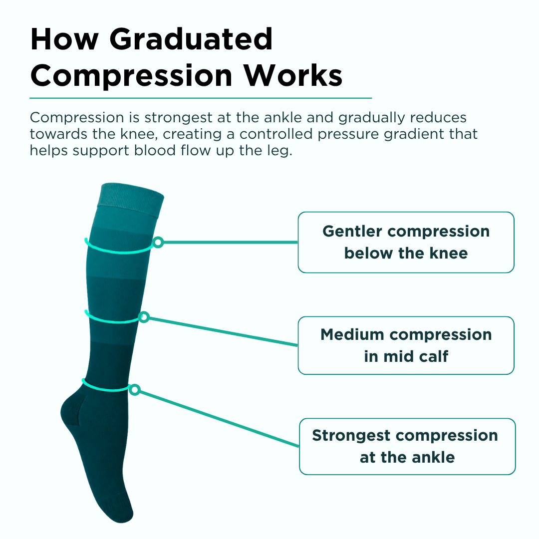 Fitlegs Anti-Embolism Stockings graduate compression mechanism