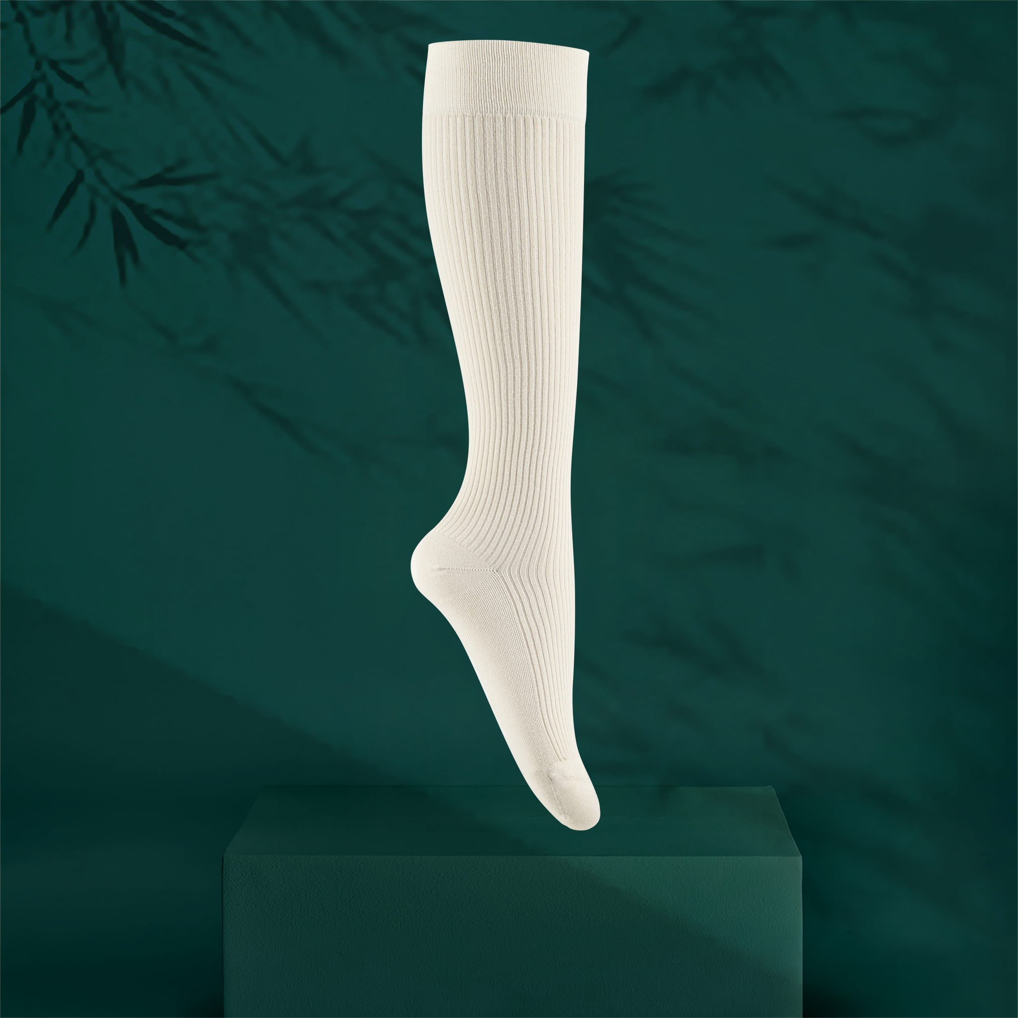 A single ribbed knee-high sock in a pale off white magnolia colour, shown floating above a dark green pedestal against a dark teal background with soft bamboo leaf shadows.